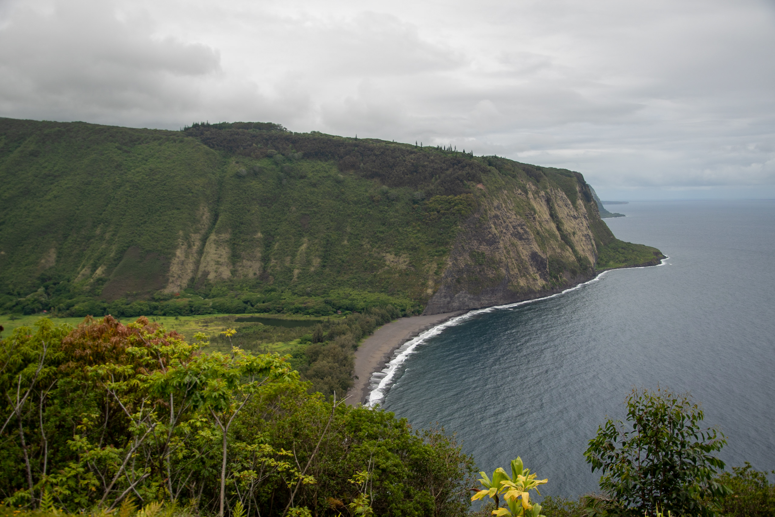 View of Waipio Valley from the Overlook