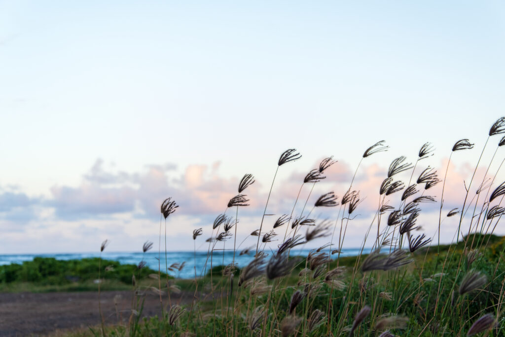 Beautiful beach in Hawaii