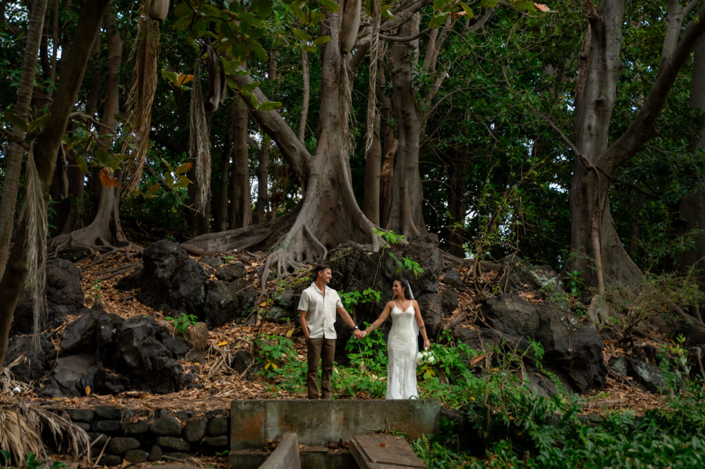 A beautiful couple celebrates their elopement in front of banyan trees at Punalu'u Black Sand Beach